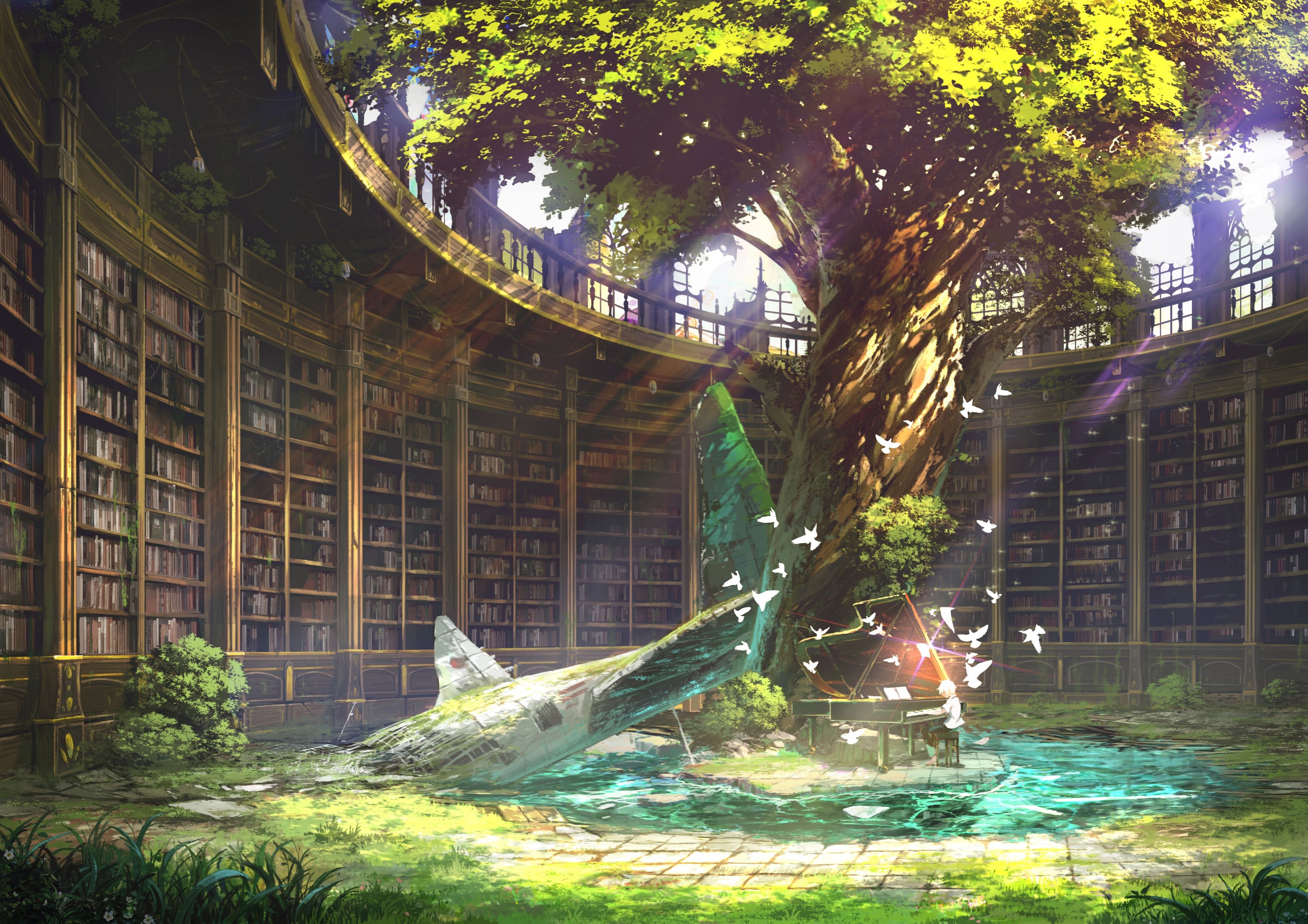 fantasy, tree, library, anime, nature, orginal, old