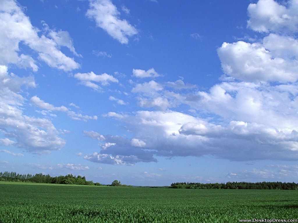 Blue Sky Nature Wallpaperwallpaper.dog