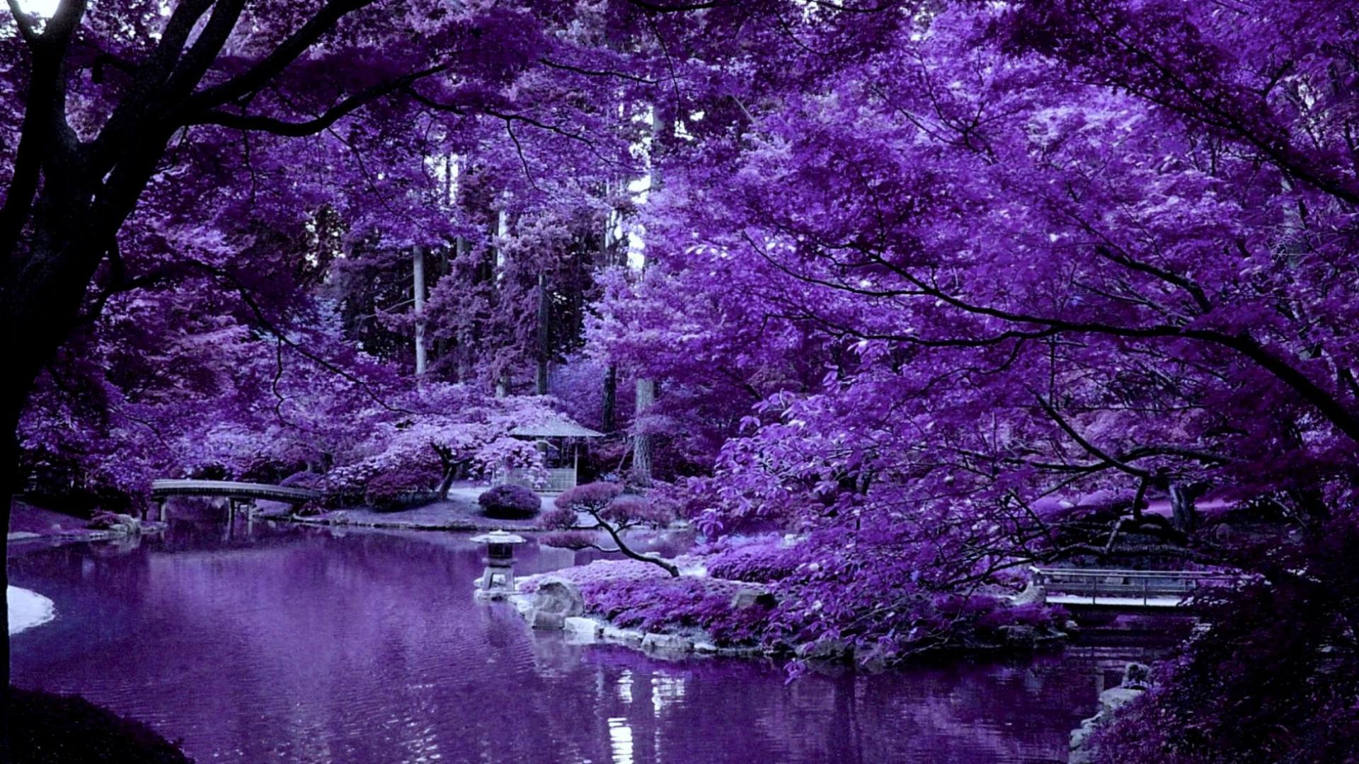 Black And Purple Japanese Aesthetic Wallpapers Wallpaper Cave