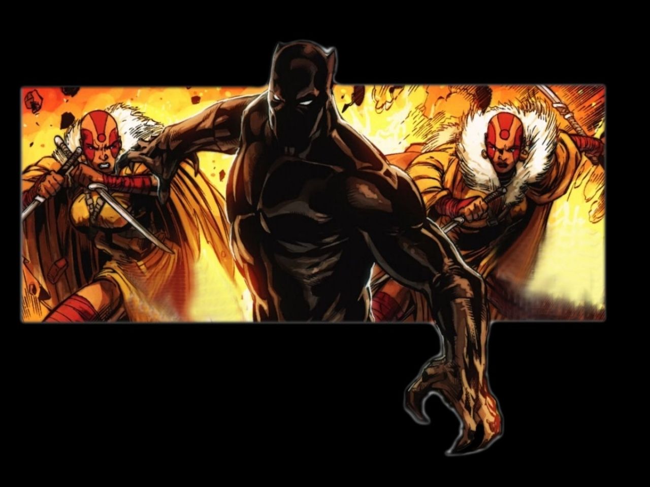 Black Panther Marvel HD Wallpaper .wallpaperafari.com