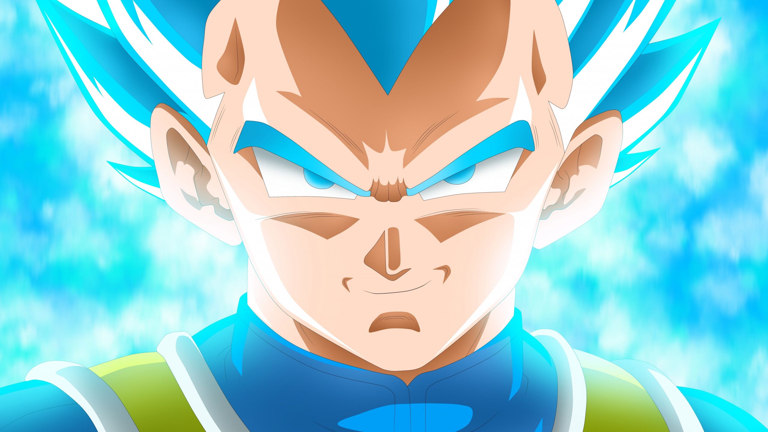 Download wallpaper 2560x1440 vegeta, dragon ball super, smirk, dual wide 16:9 2560x1440 HD background, 6348