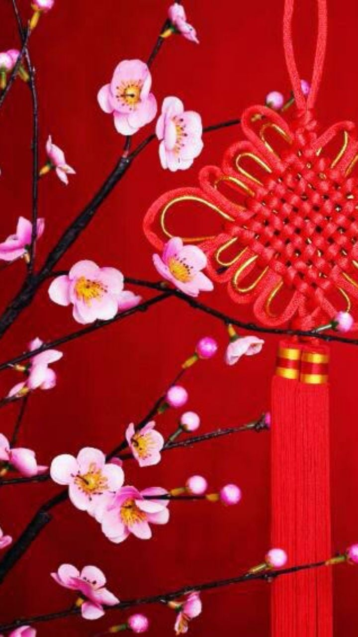 Chinese New Year Wallpaper 2021 .amazon.com