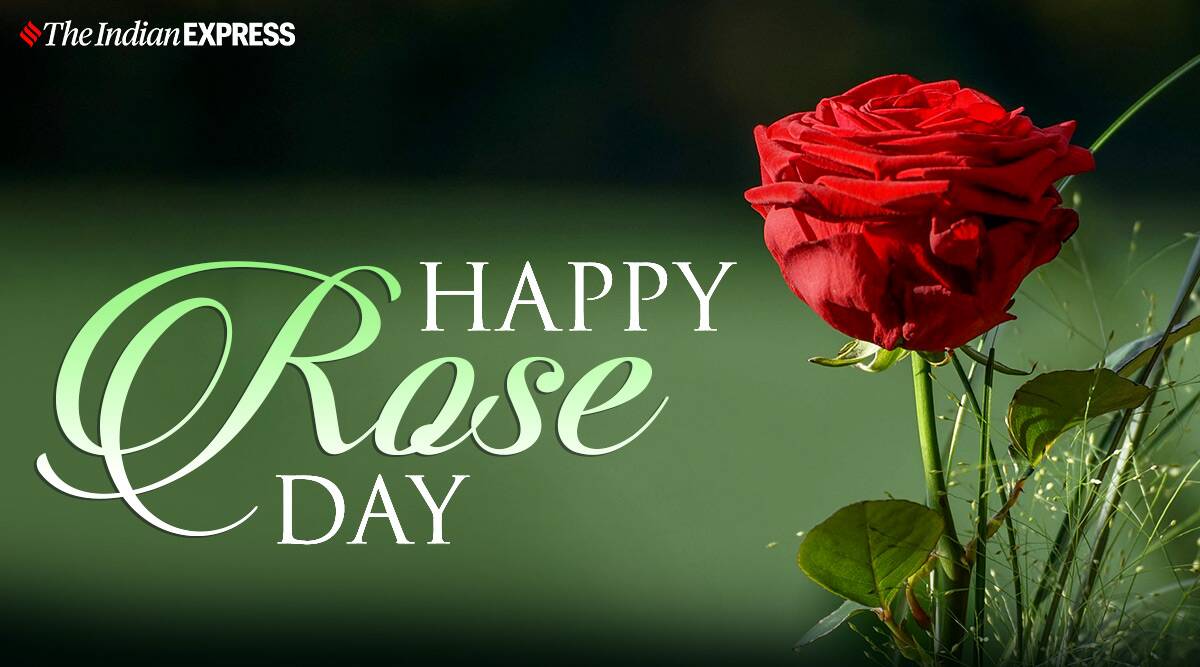 Happy Rose Day Image 2021 HD Download / Happy eid mubarak image 2021