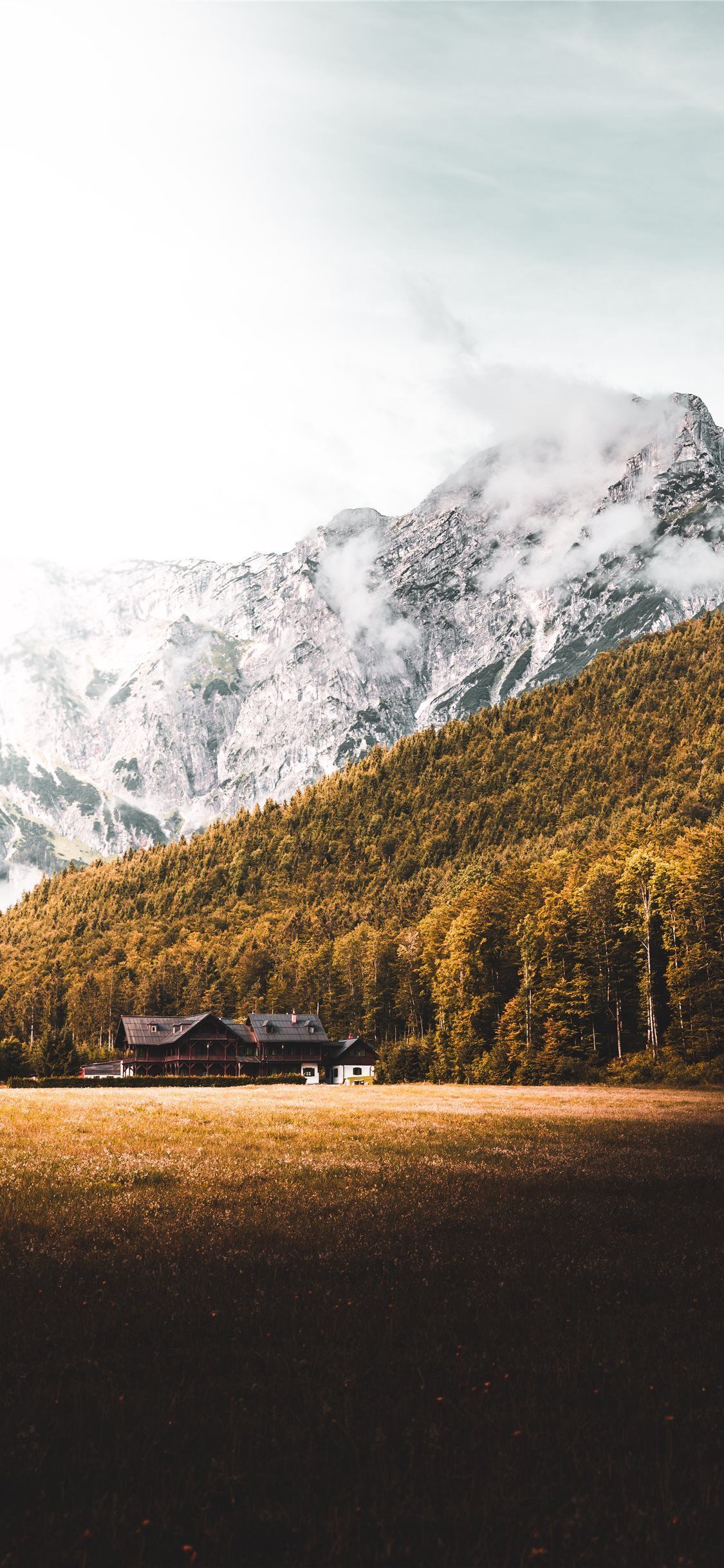 House Forest and Mountain in Austria .com