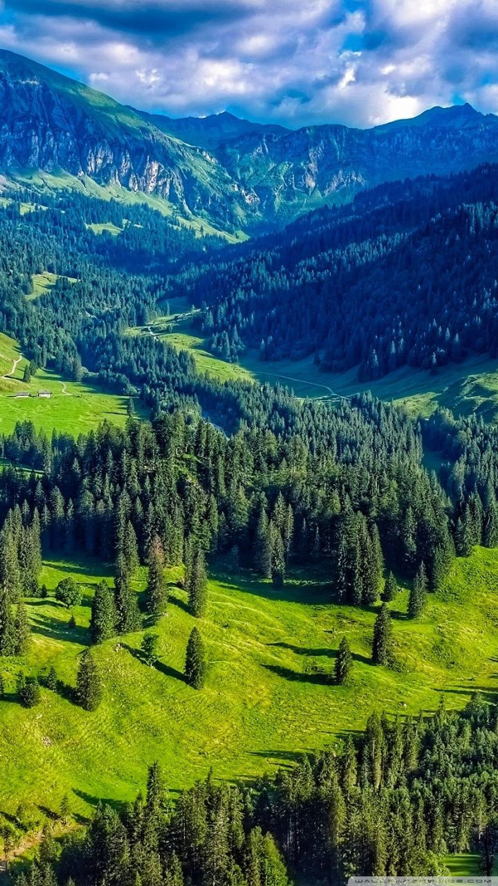 Austria Mountain Forest Landscape Ultra .wallpaperwide.com