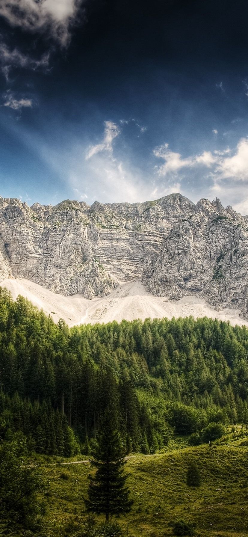 Austria, Mountains, Trees, Hut 828x1792 .best Wallpaper.net
