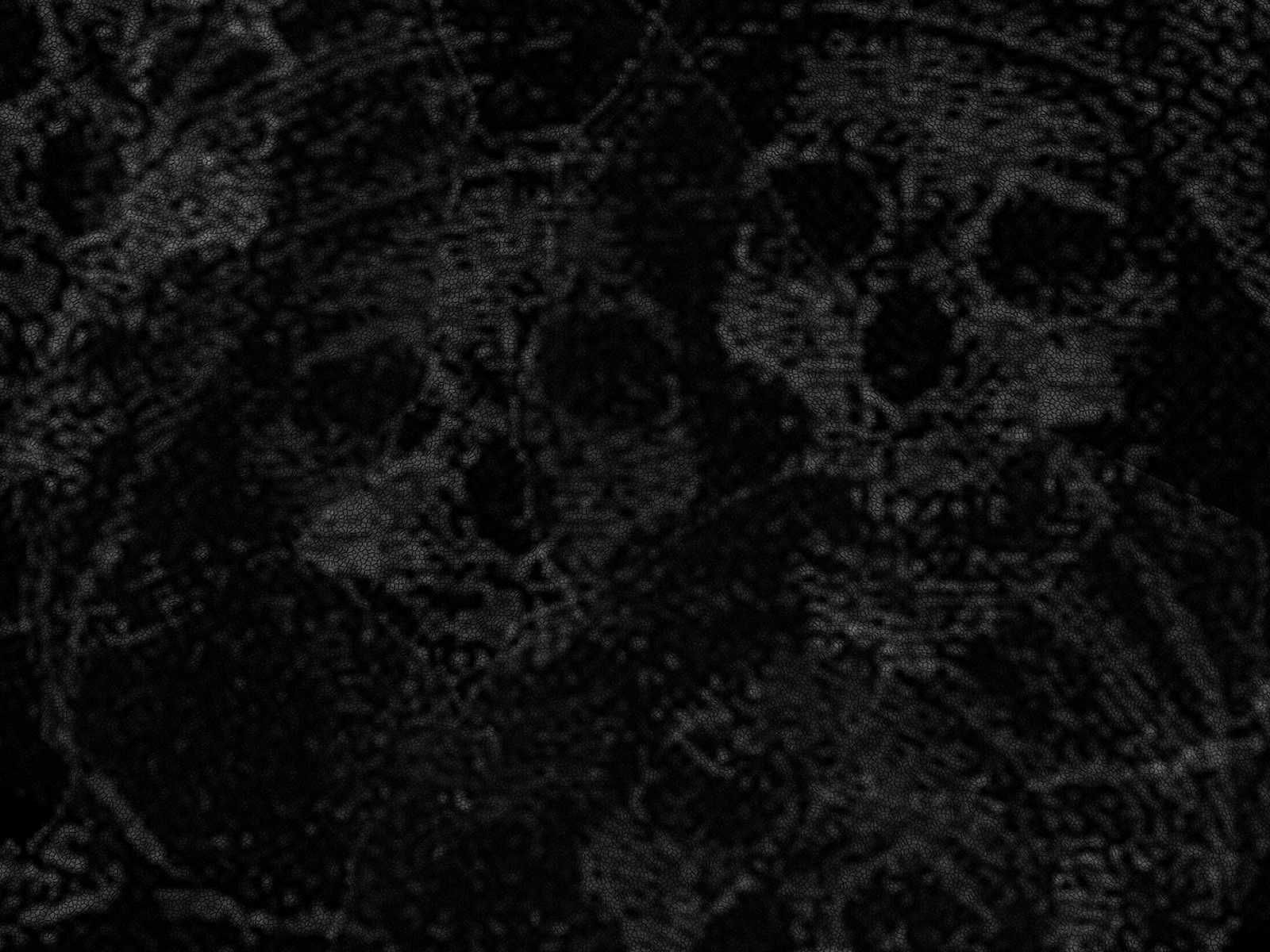 Dark Gothic Wallpaper Group Wallpaper House.com