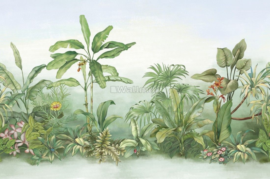Tropical Rainforest Drawing Art .wallmur.com · In stock