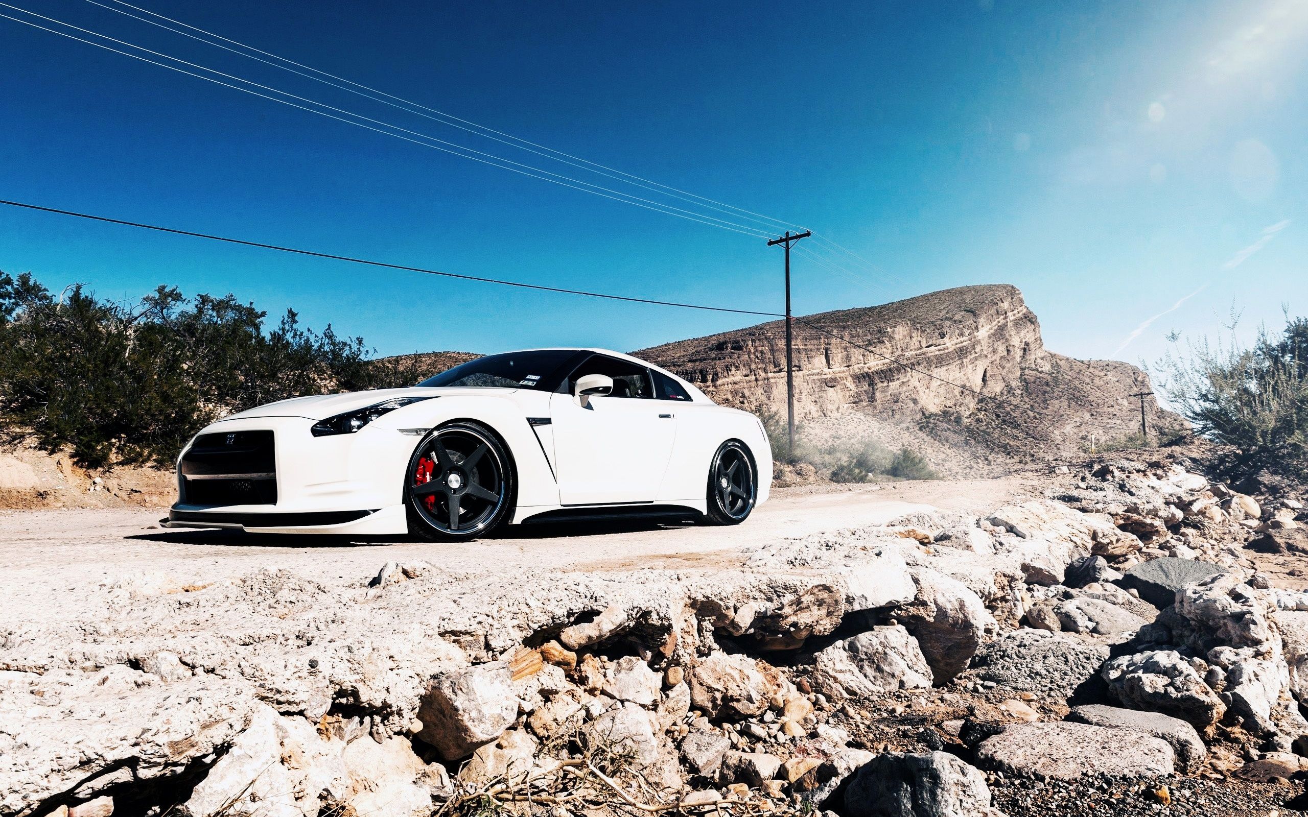 White Nissan GTR -themes.com