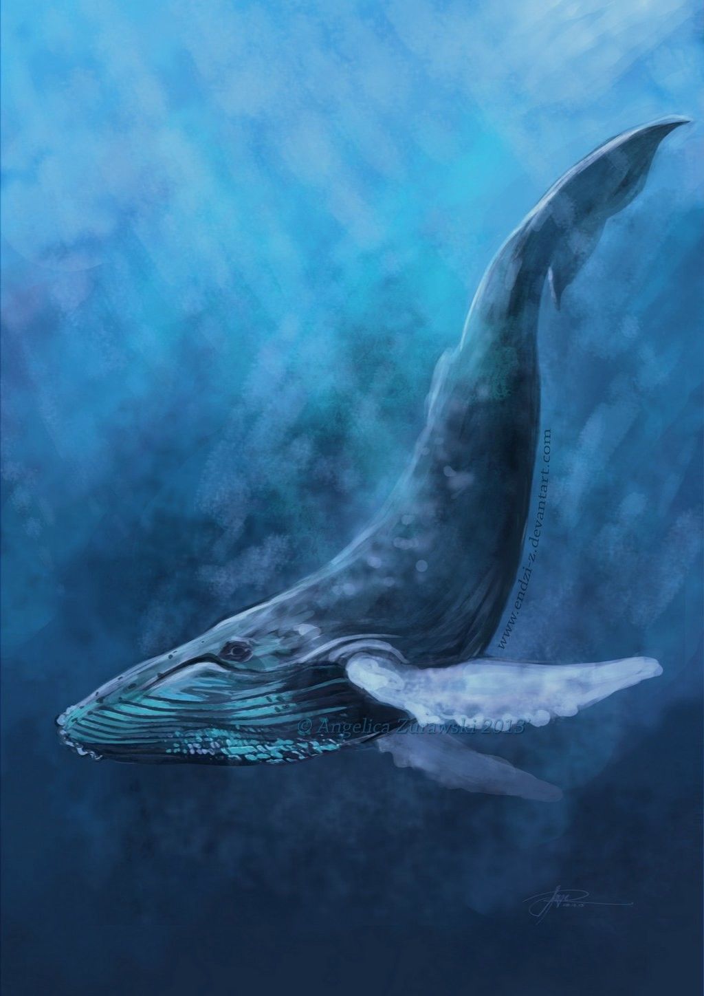 Whale iPhone Wallpaper Free .wallpaperaccess.com