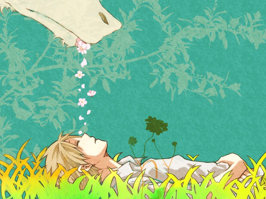 Natsume Yuujinchou Natsume's Book Of .zerochan.net