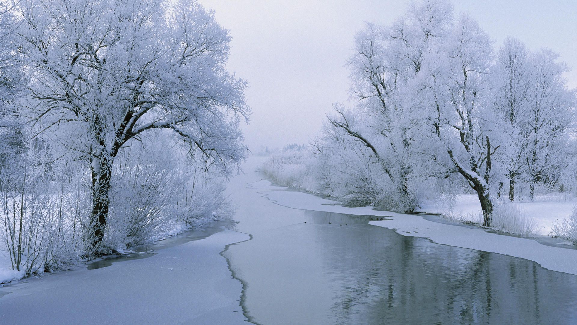 Frozen Lake And Snowy Scenery HD .wallpapervortex.com