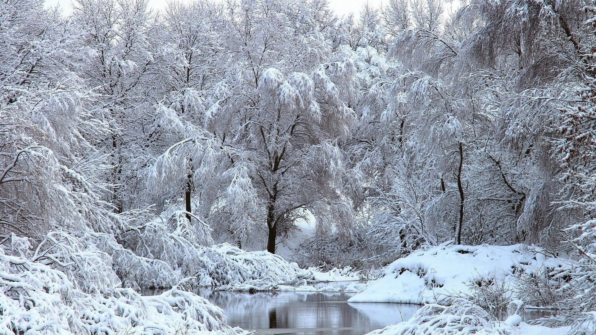 2C2F38 Color Wallpaper: Snowy Scene Forest Snow Tree Lake Winter. Desktop Background