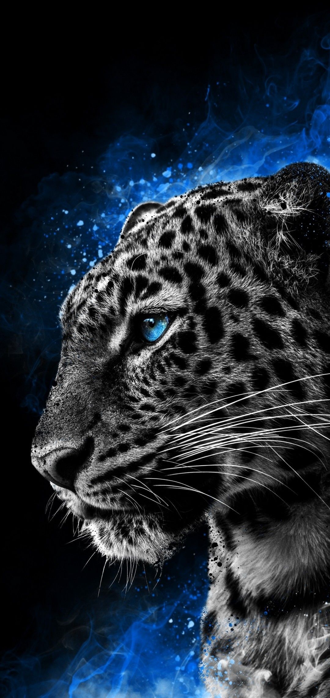 Animated Tiger wallpaper. Cheetah .com
