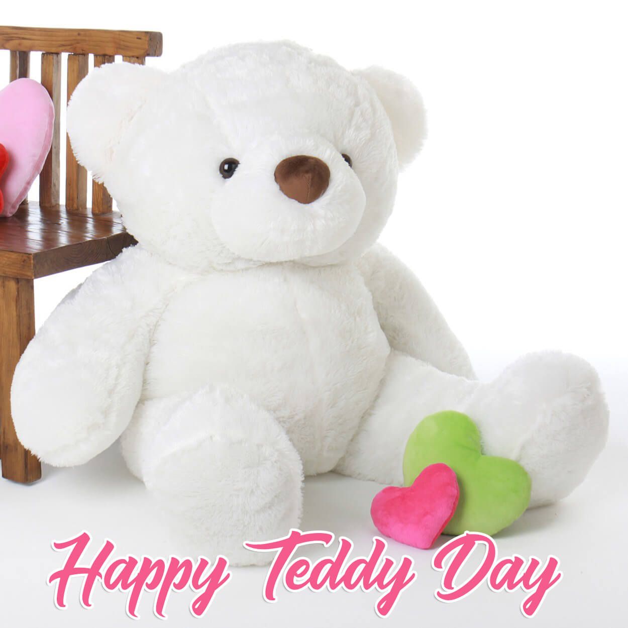 Teddy day hot sale hd photo