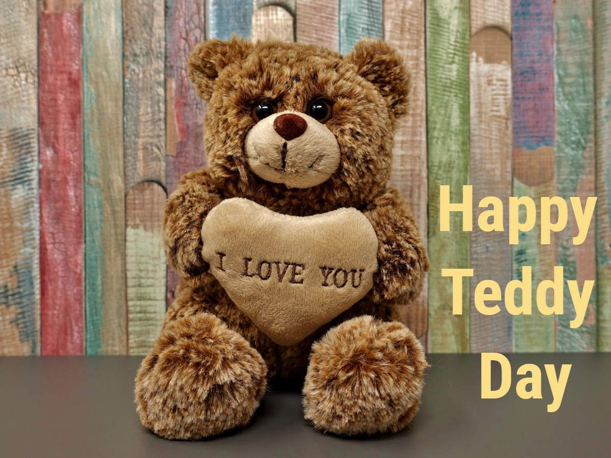 Happy Teddy Day 2019: Image, Cards .timesofindia.indiatimes.com