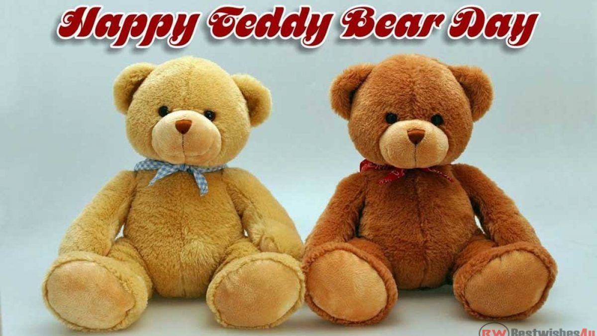 teddy day next day