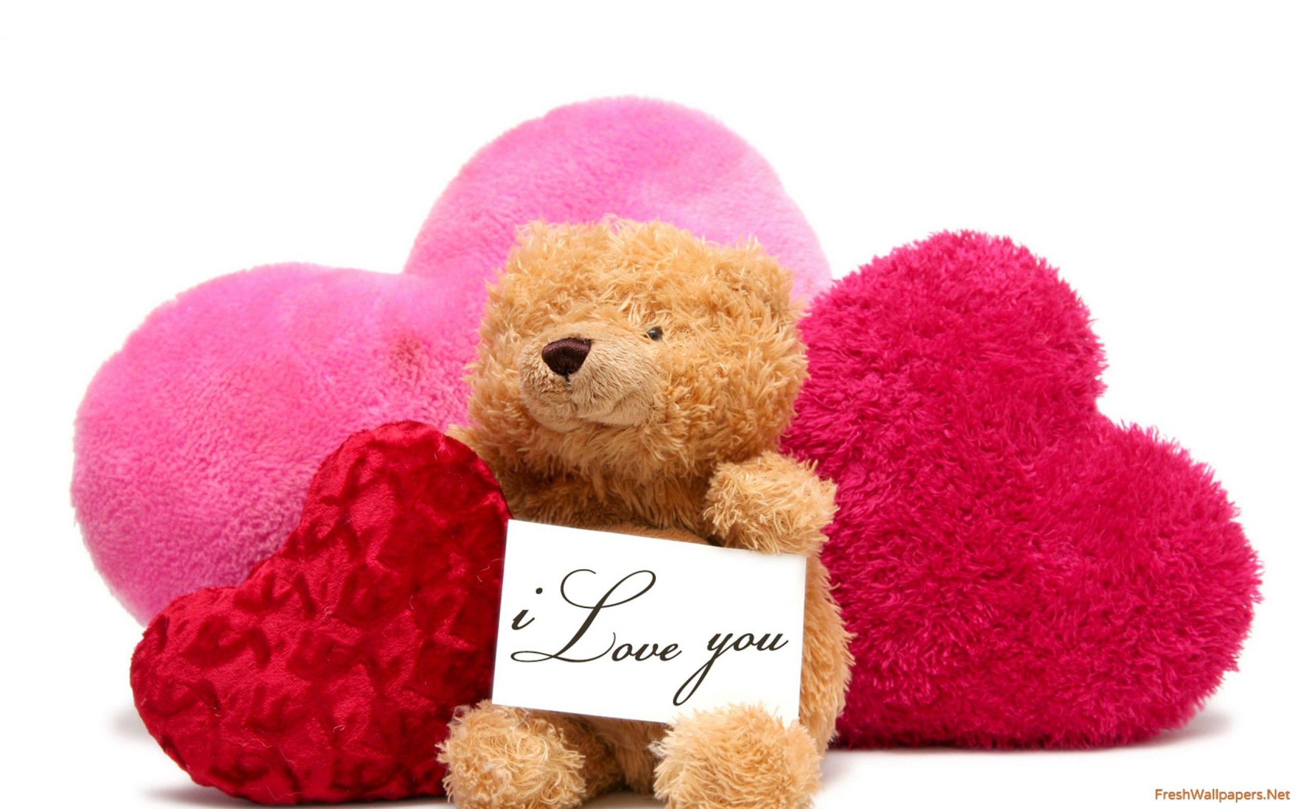 HAPPY TEDDY DAY wallpaper .freshwallpaper.net