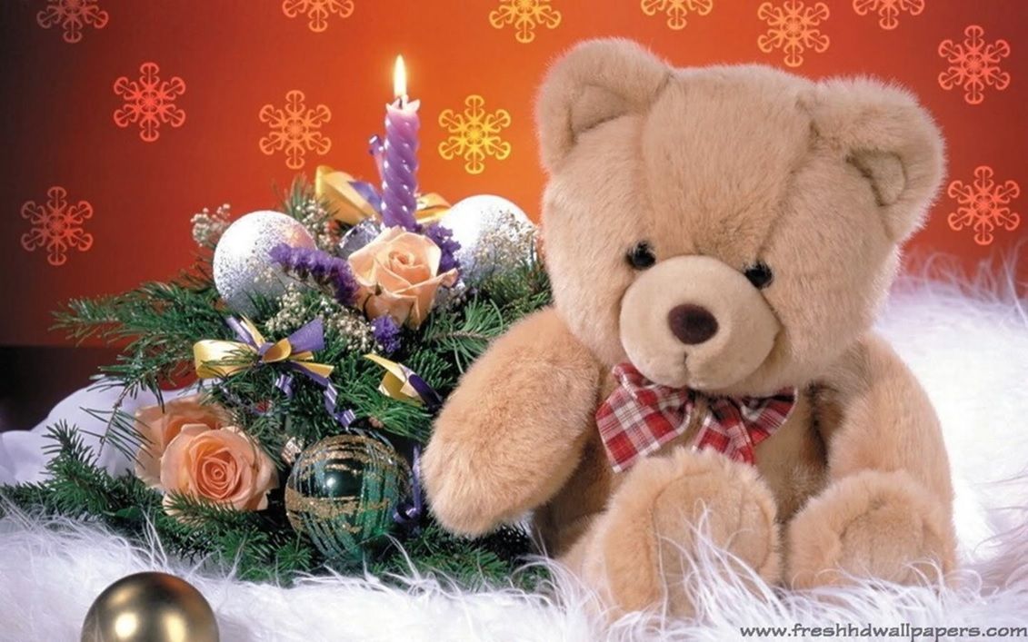 Teddy Day Image HD Wallpaper