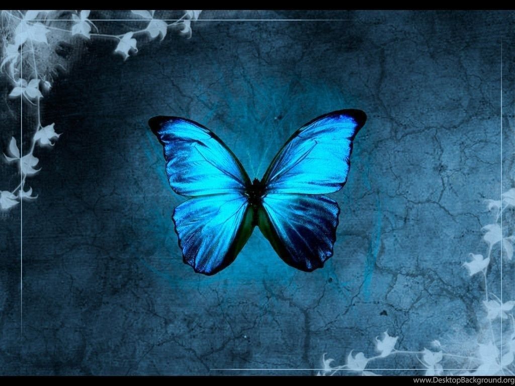 Blue Butterfly Wallpaper Free .wallpaperaccess.com