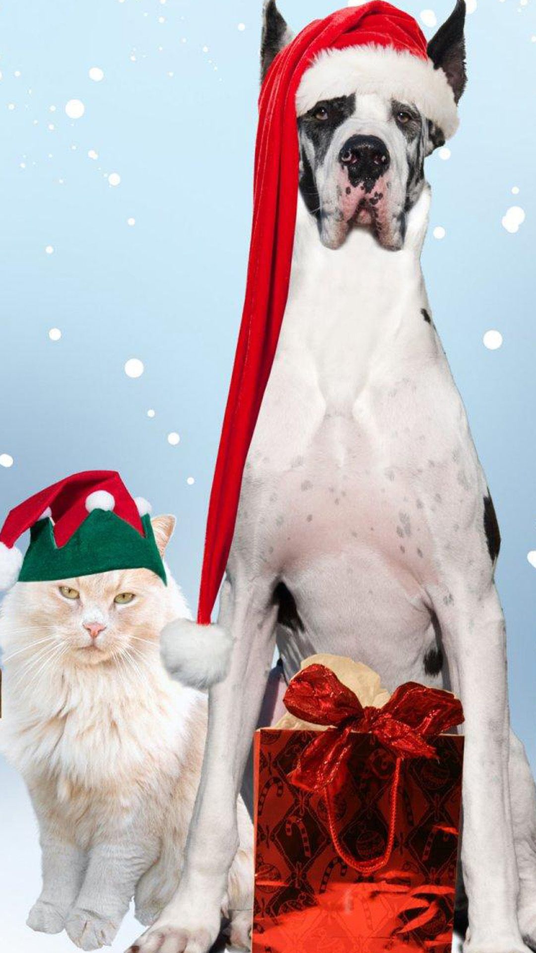Christmas Dog And Cat Android wallpaper HD wallpaper