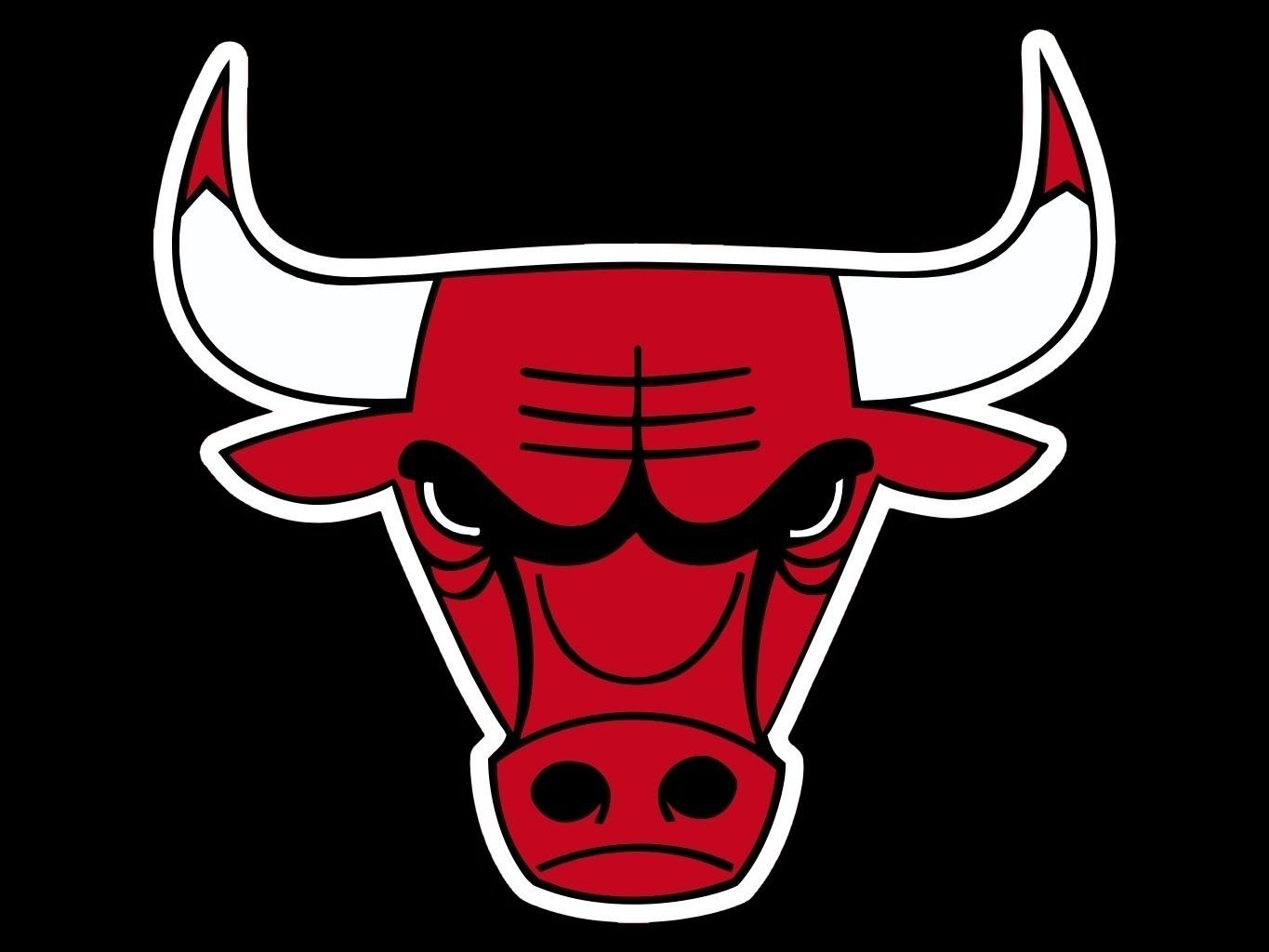 New Chicago Bulls Picture Logo FULL .com