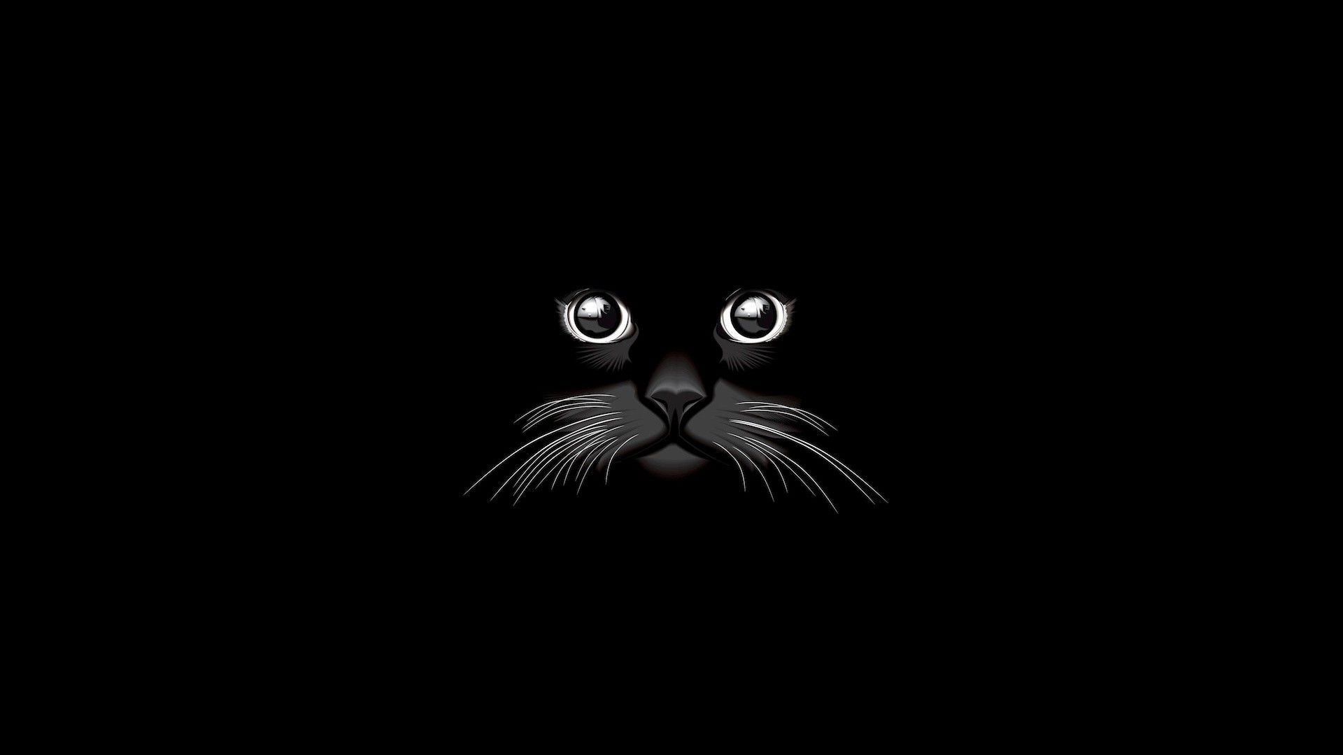 Desktop Wallpaper Cat Muzzle, Minimal .picstatio.com