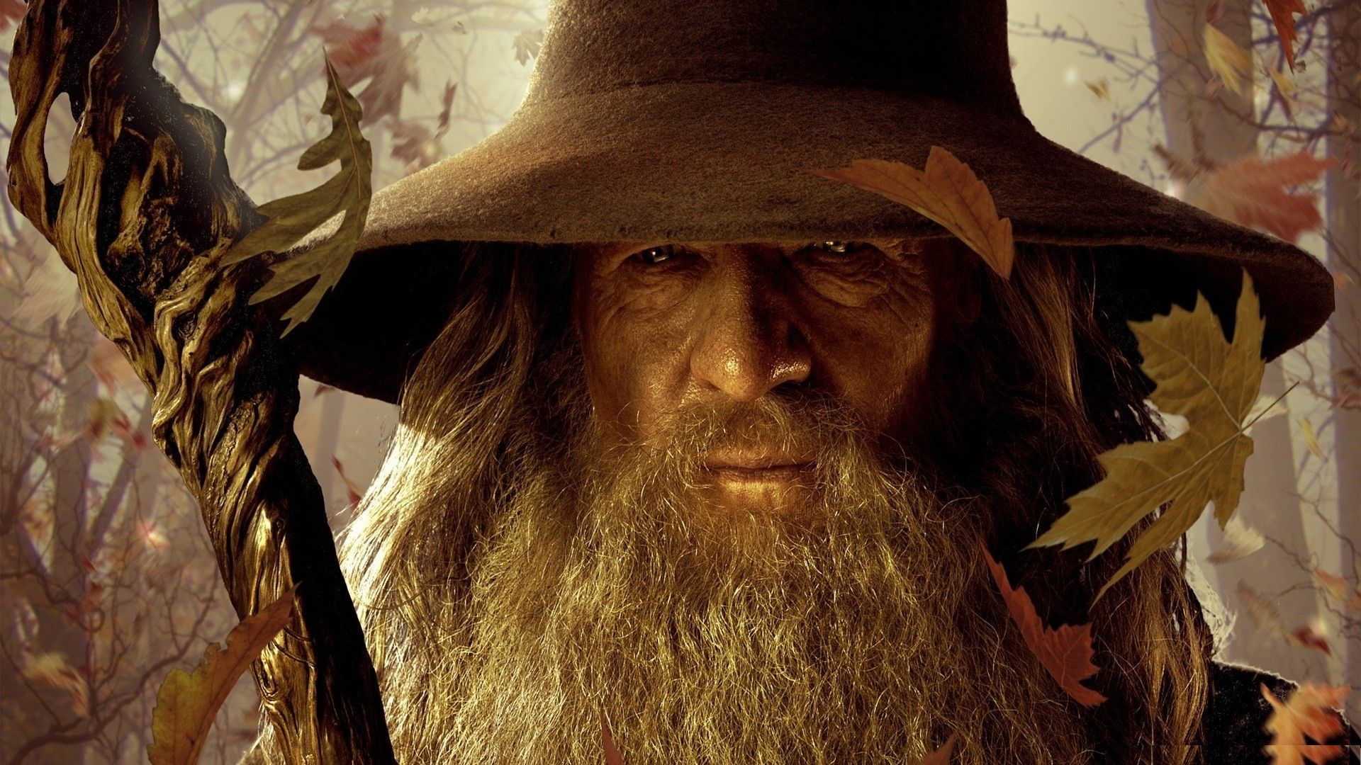 Gandalf, wizards, The Hobbit, Ian .sf.co.ua