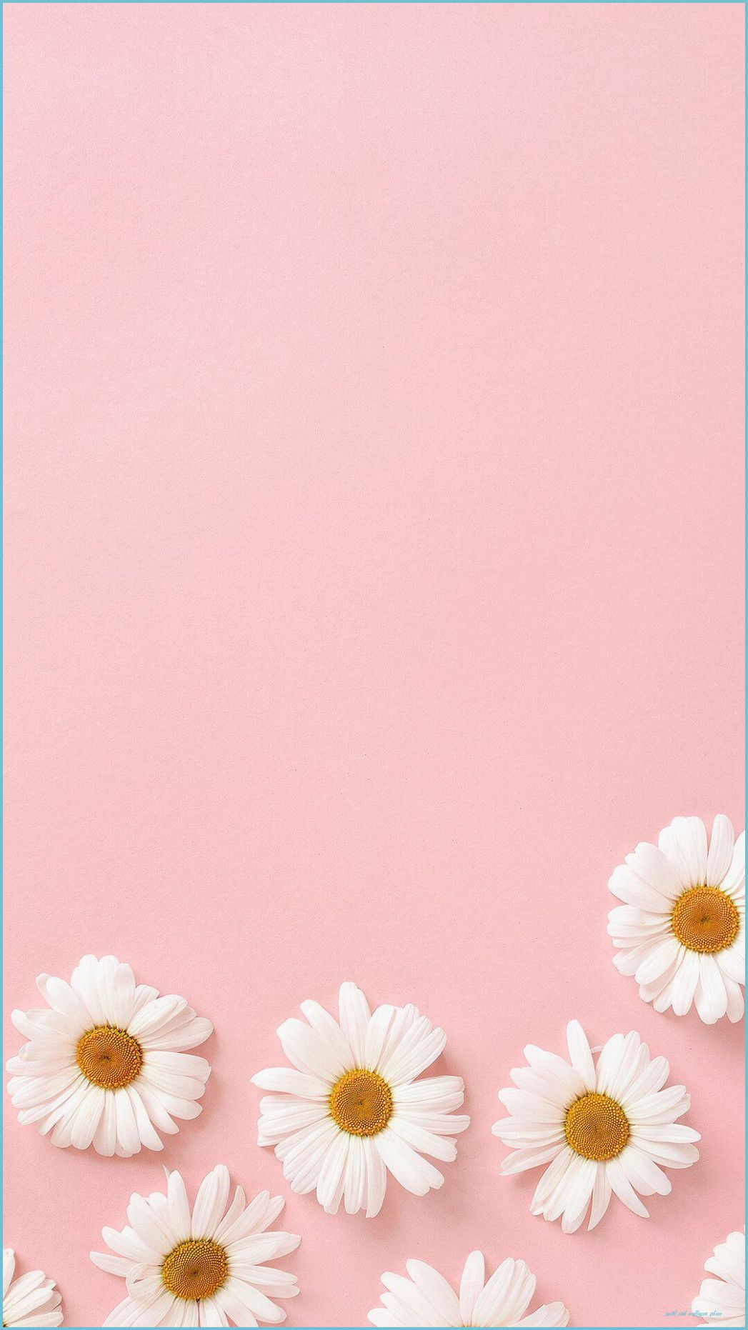 Pastel Pink Tumblr iPhone Wallpaper .anupghosal.com