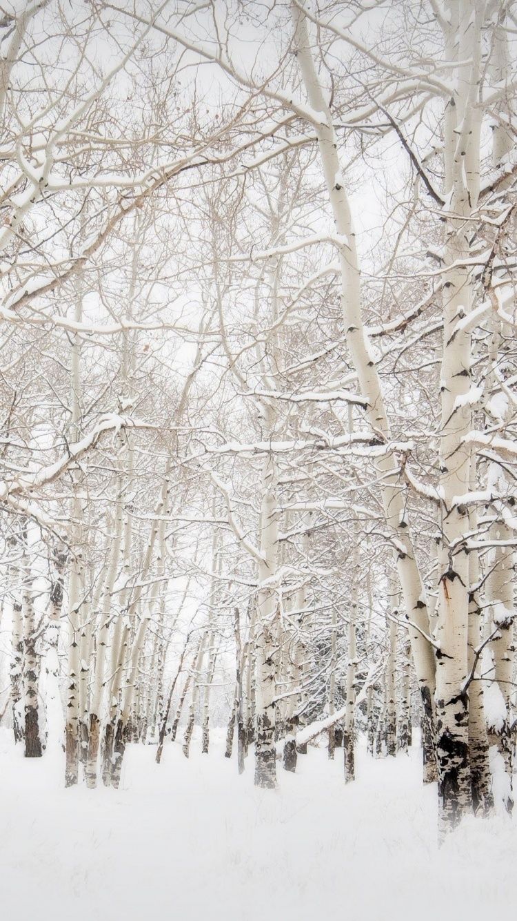 Winter wallpaper, iPhone wallpaper winter.com