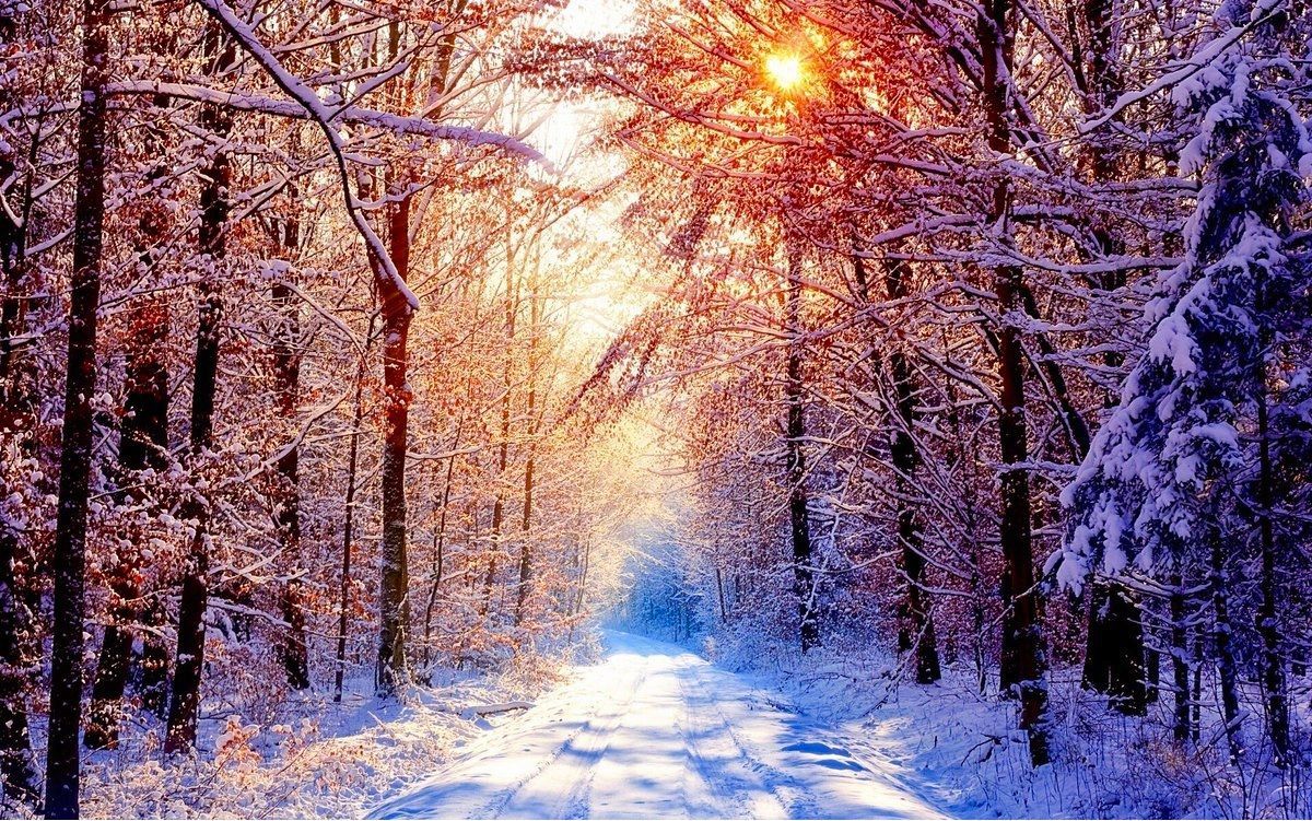 Winter wallpaper desktop .com