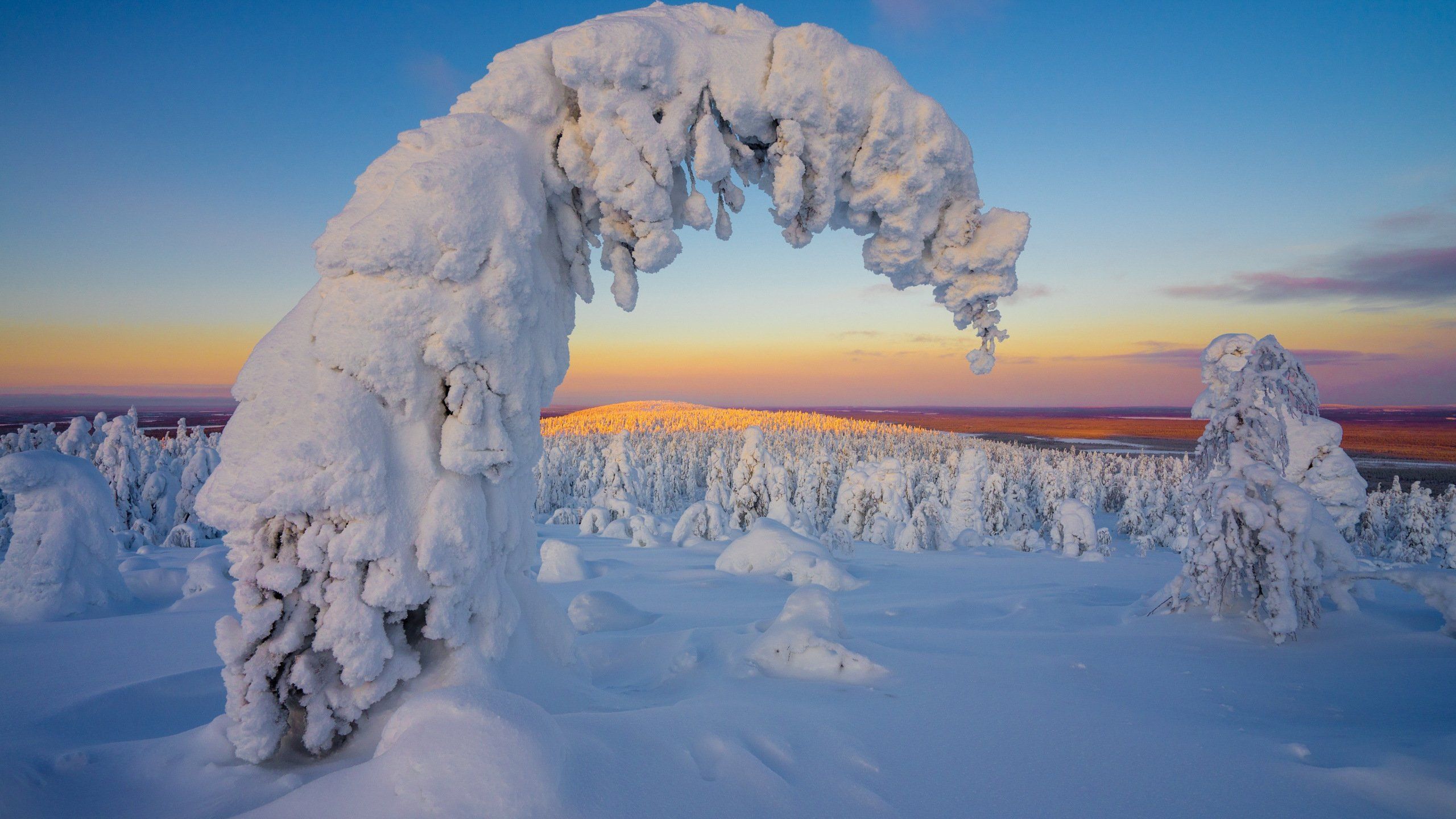 of Winter 4K wallpaperfree4kwallpaper.com