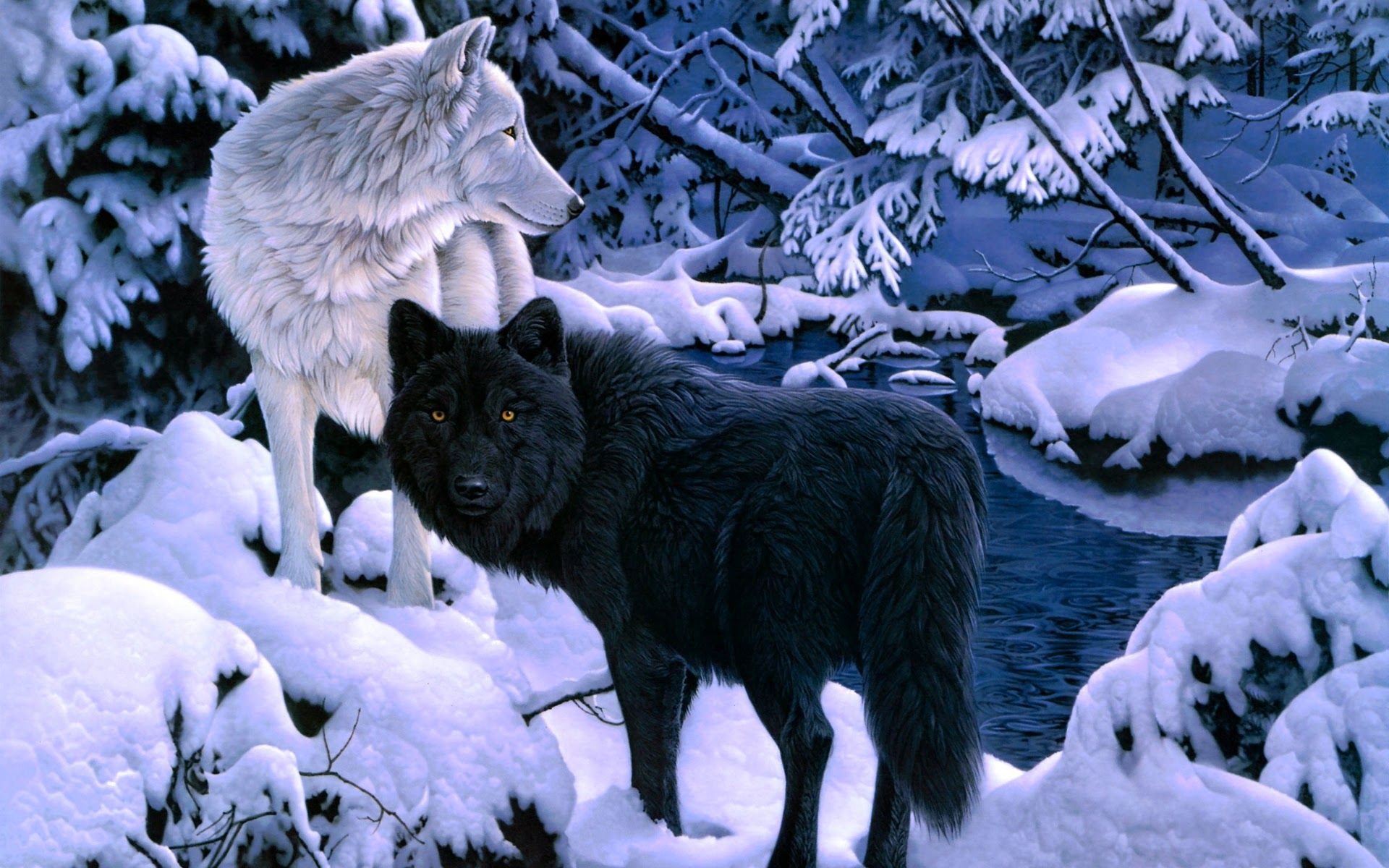 Wolf Wallpaper For iPhone And .itl.cat