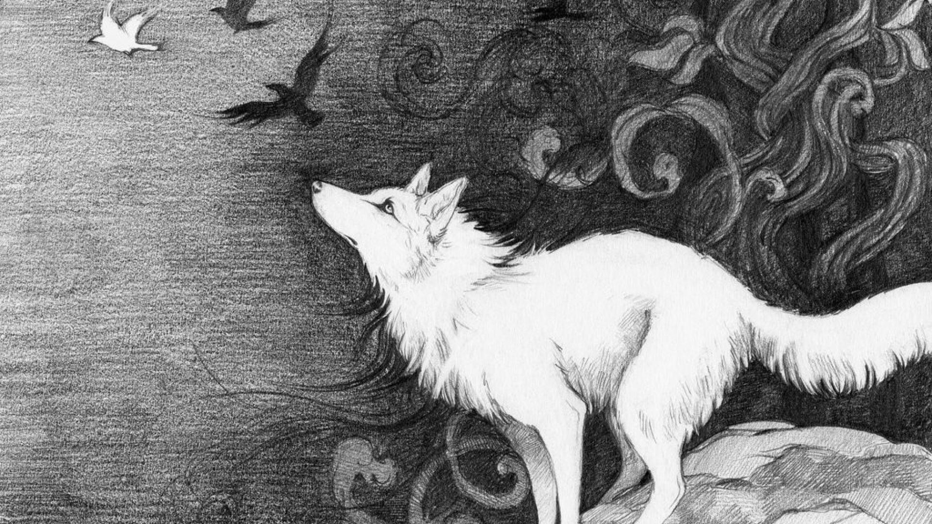 Black And White Wolf Wallpaper posted .cutewallpaper.org