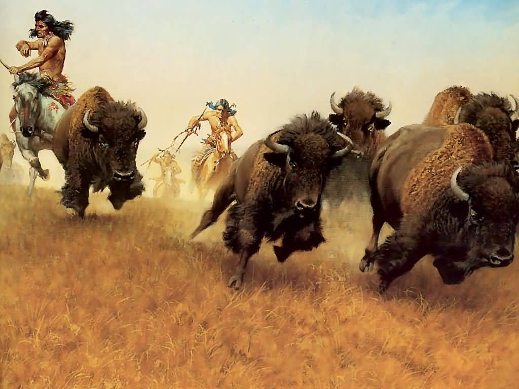 Native American Buffalo Wallpaper .wallpaperaccess.com