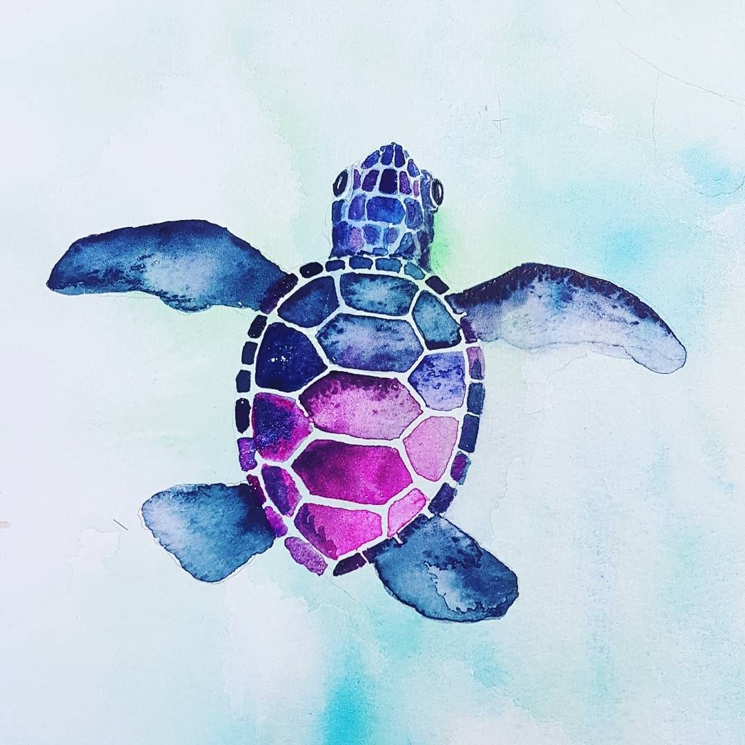 Little experiments today #art #practice #exercise #watercolor #turtles #aww. Cute turtle drawings, Sea turtle artwork, Turtle drawing