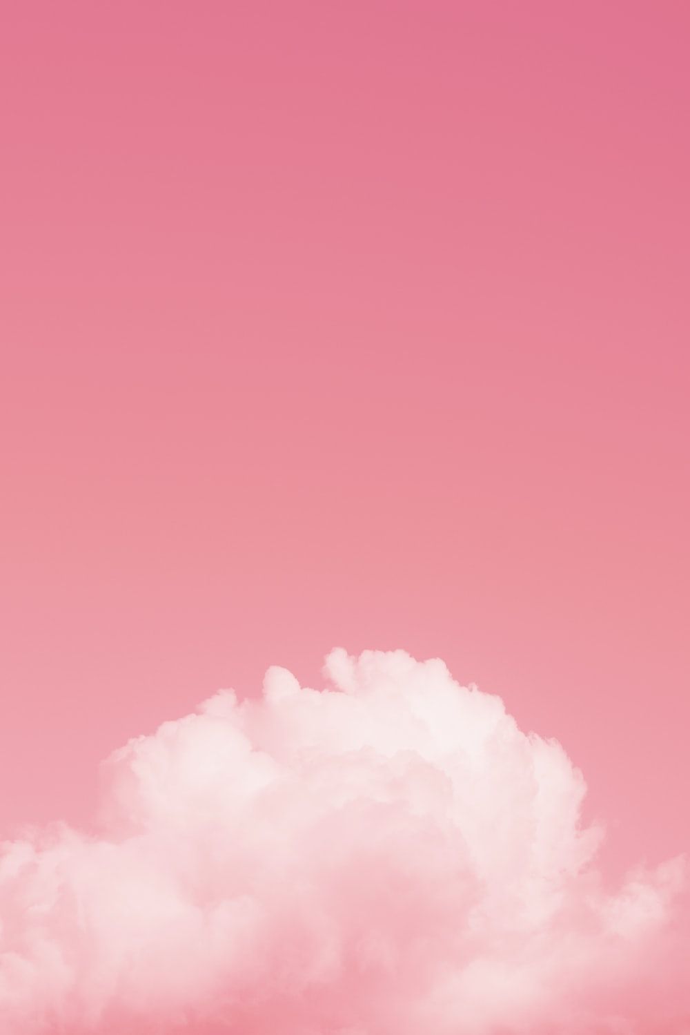 Pink Wallpaper: Free HD Download .com