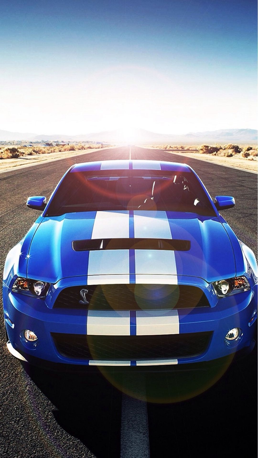 Ford shelby, Mustang cars .com