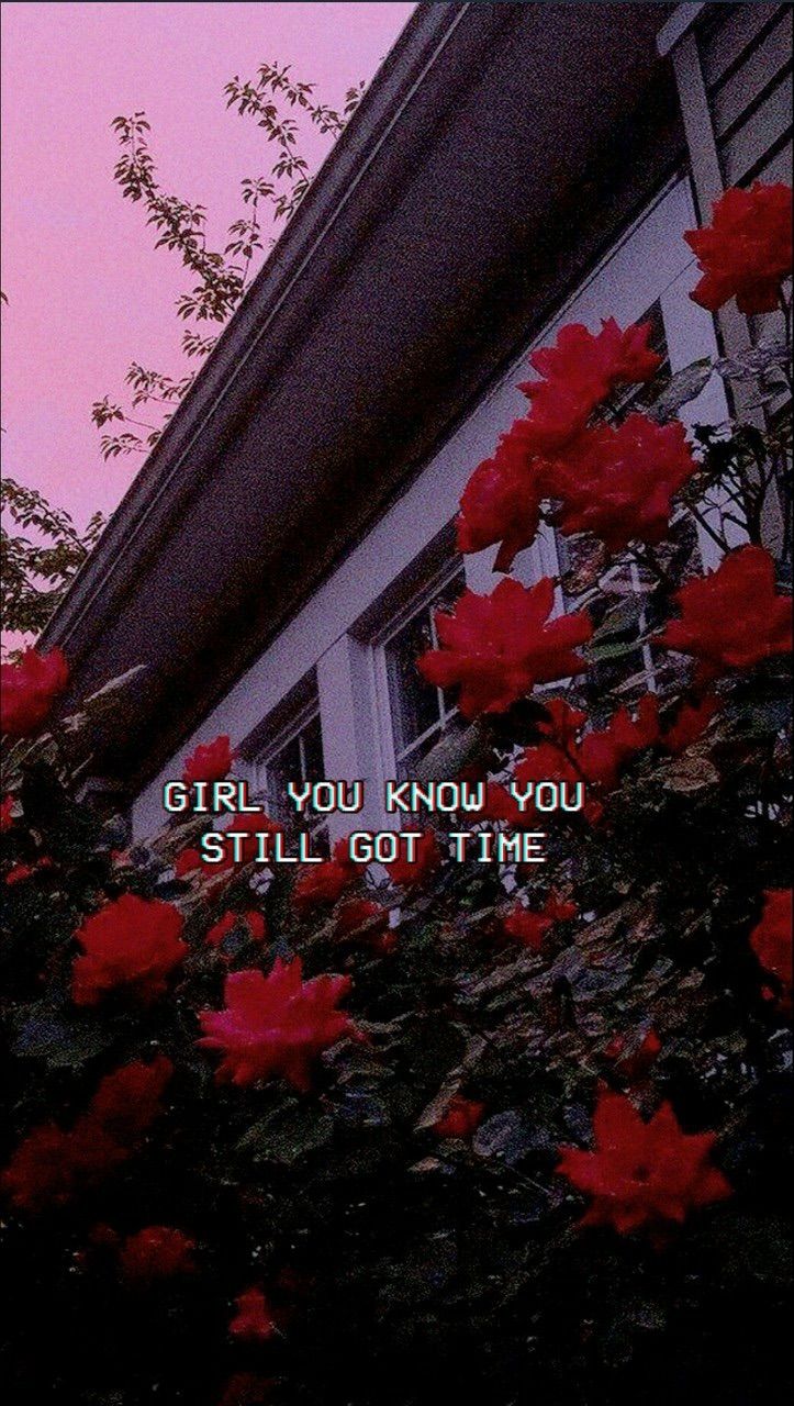 Rose, Wallpaper, And Quotes Image .wallpapertip.com