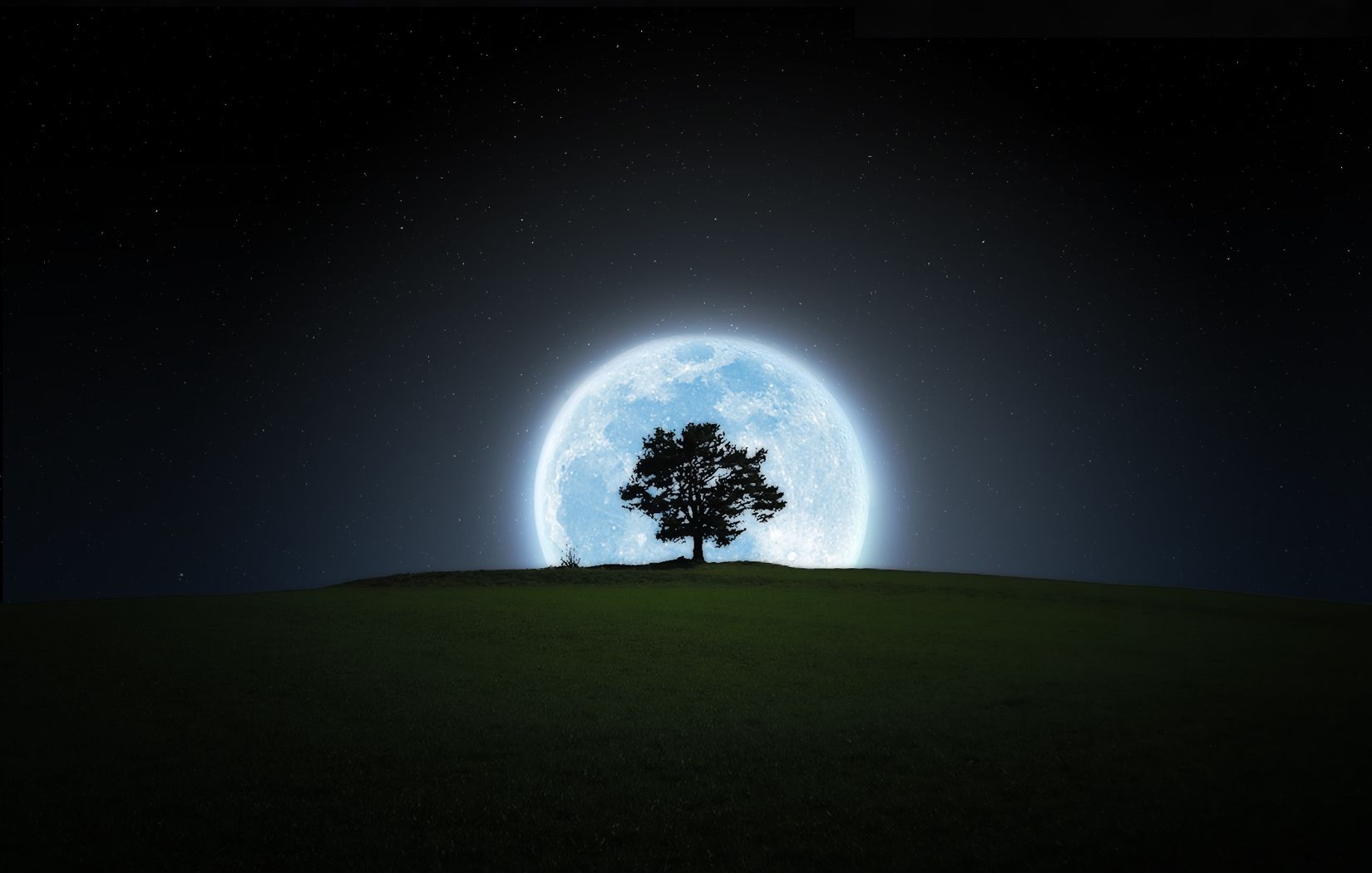 Earth Moon Silhouette Night Tree Wallpaper. Imágenes de fondo, Fondos de pantalla hd, Foto
