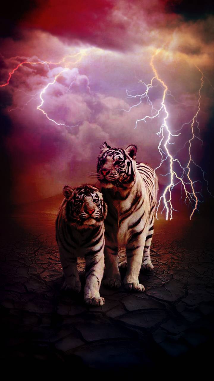 Lightning Cool Tiger Wallpaper