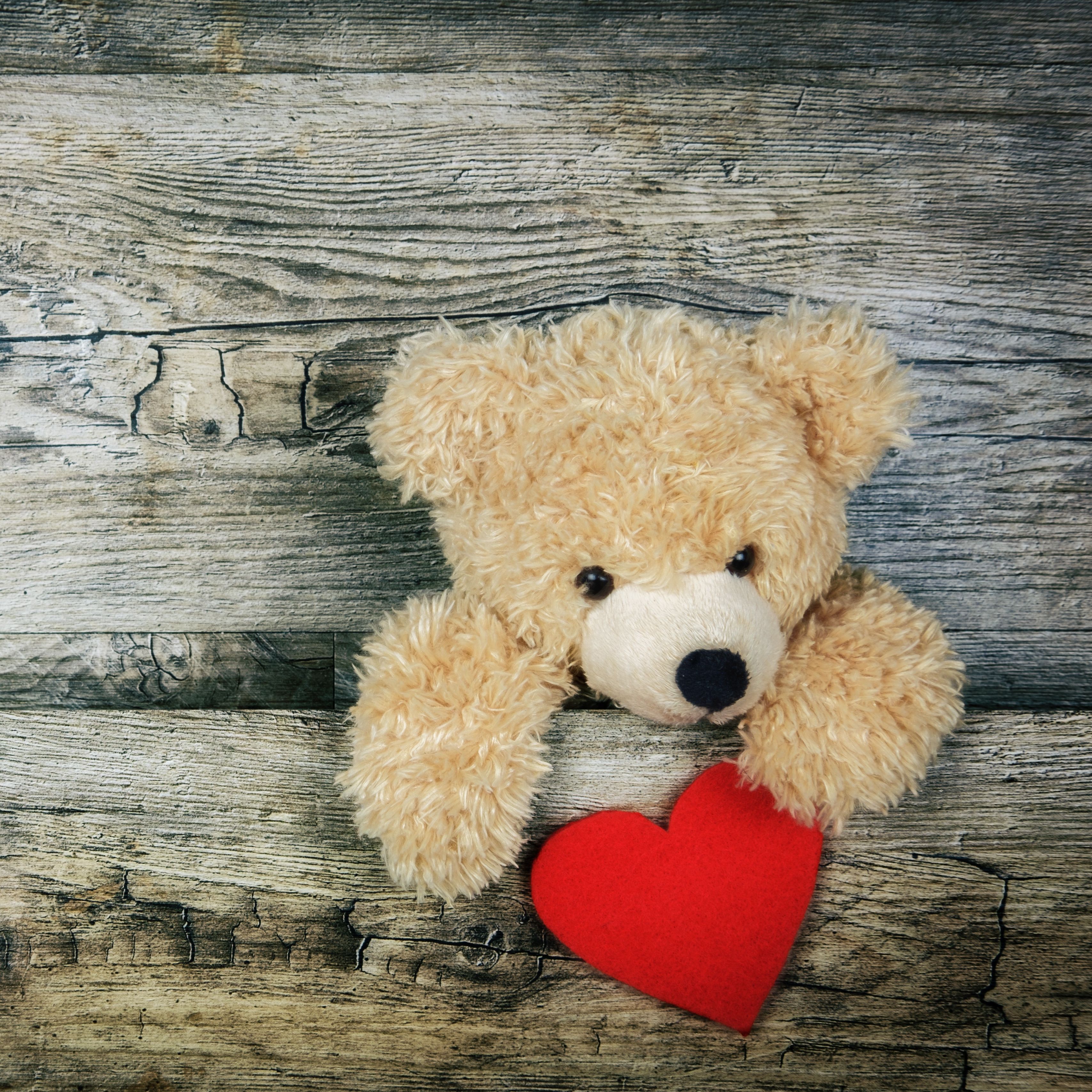 Wallpaper Teddy Bear, Heart, Valentines .teahub.io