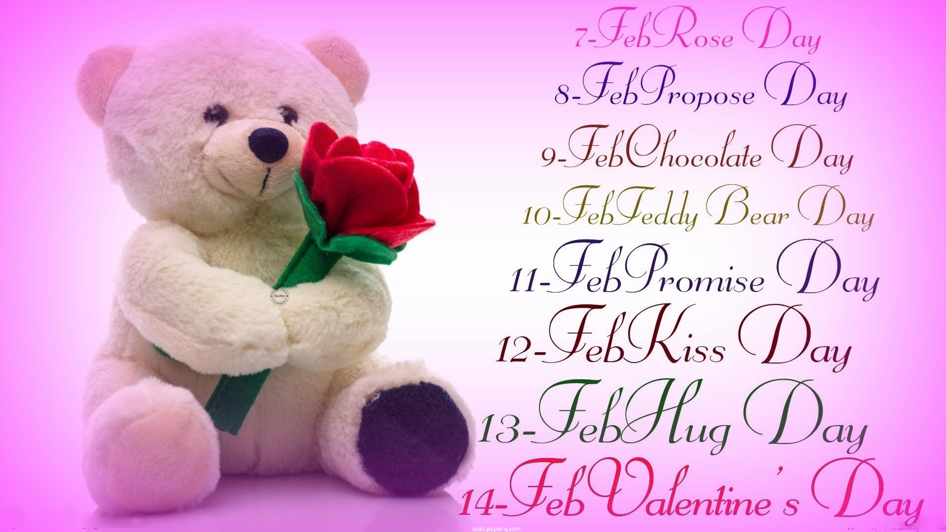 Download Valentines day week teddy bear .wallpaperg.com