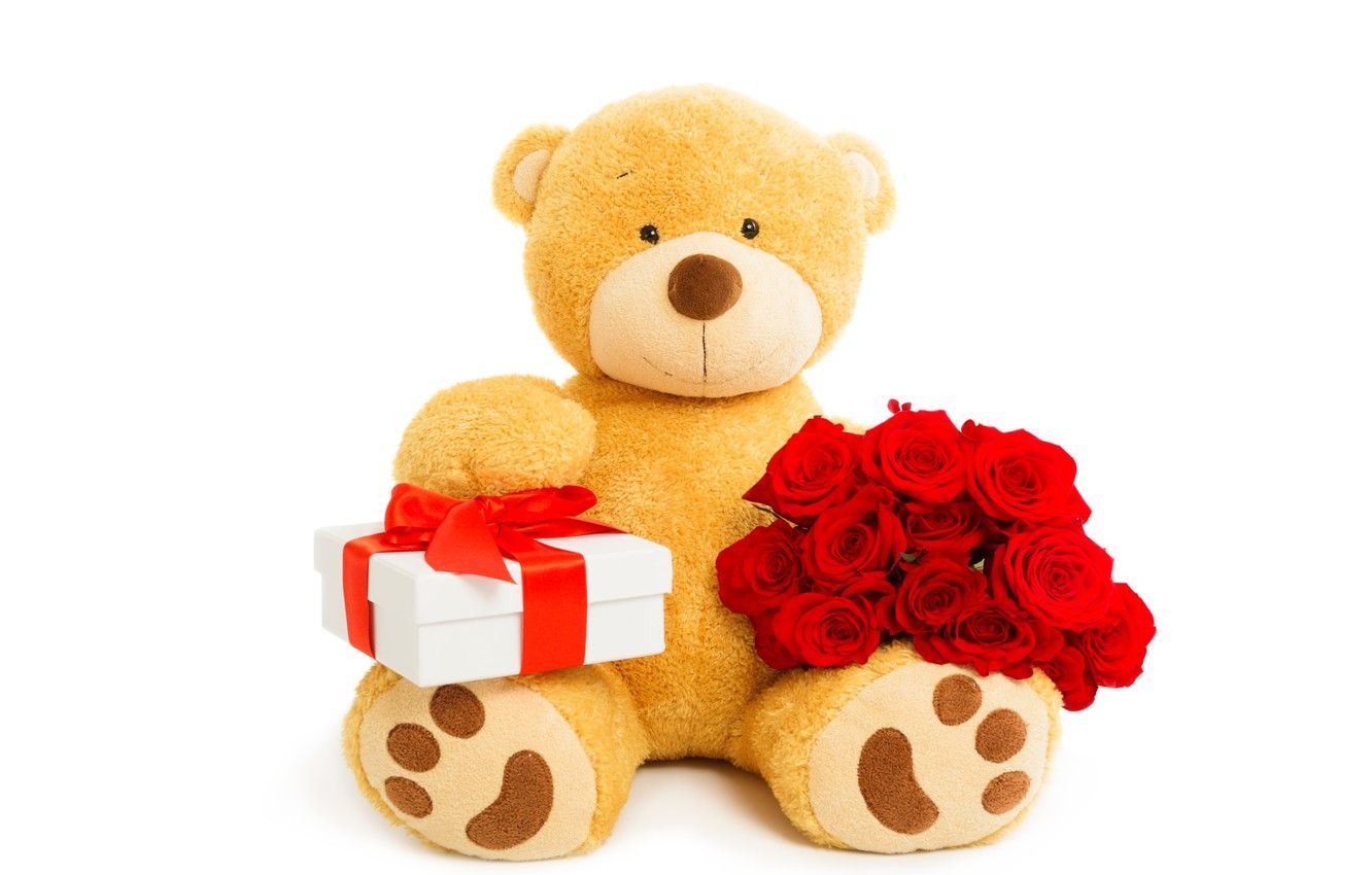 Wallpaper love, gift, roses, bear, love .goodfon.com