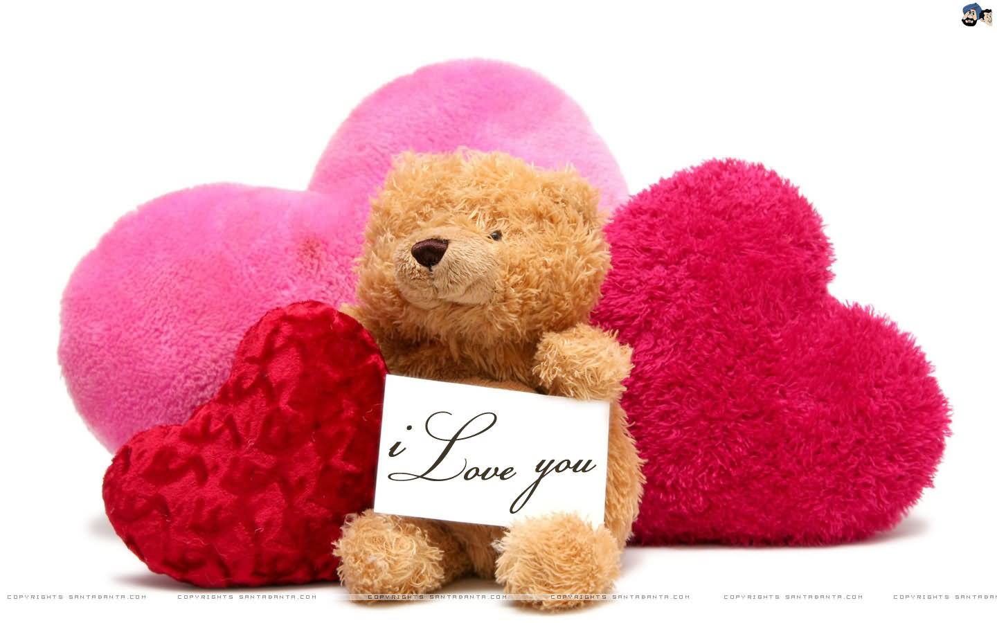 Happy Teddy Bear Day Messages, Sms .wallpapertip.com