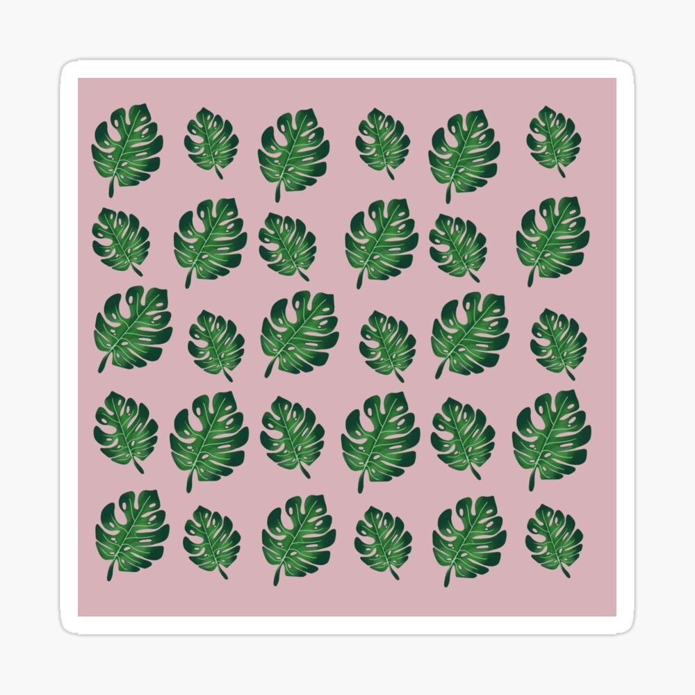 Aesthetic cute green plant wallpaper .redbubble.com · In stock