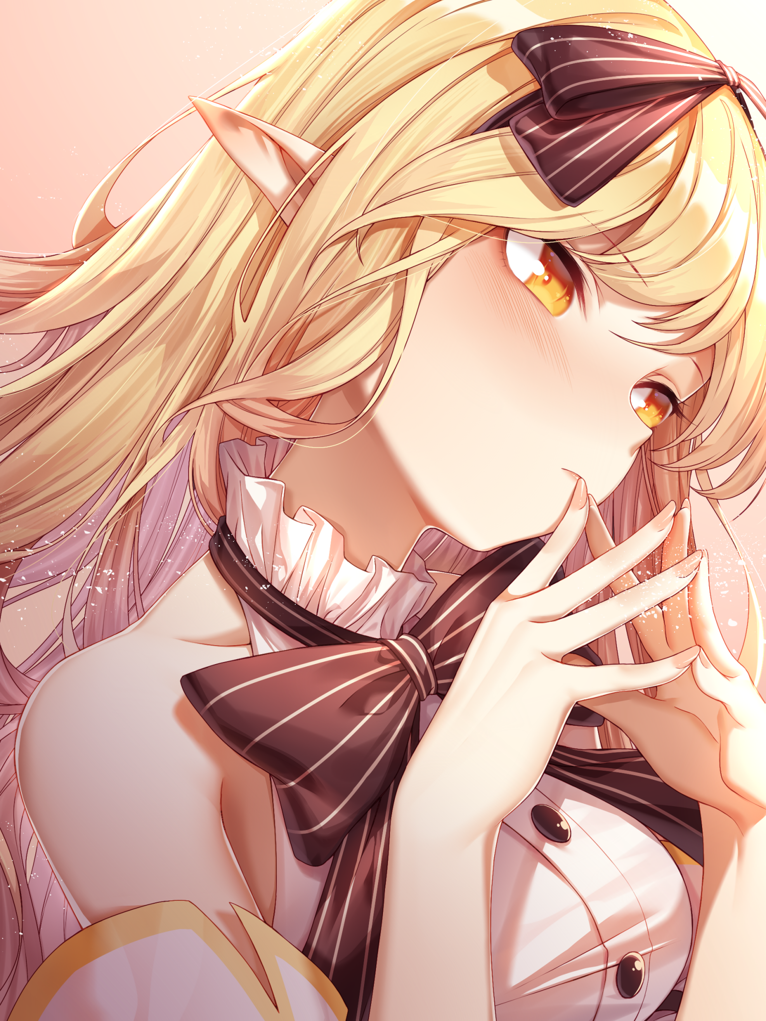 D&D Character Creation.com