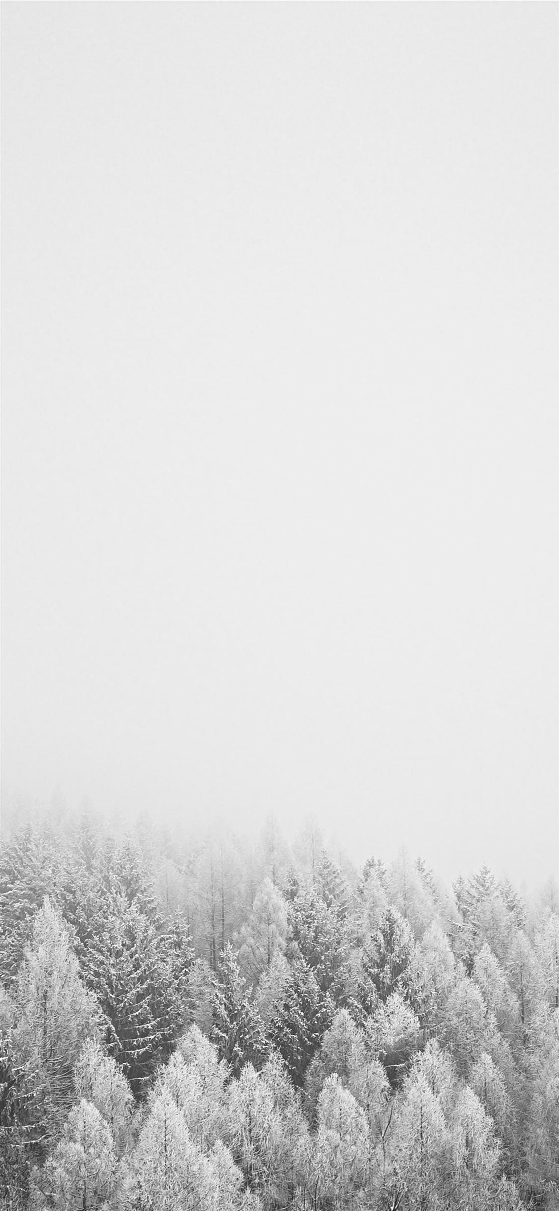 Snow Covered Trees During Daytime #grey #black And White #nature #tree #snow #iPhone11W. Snow Wallpaper Iphone, Winter Wallpaper, Black And White Wallpaper Iphone