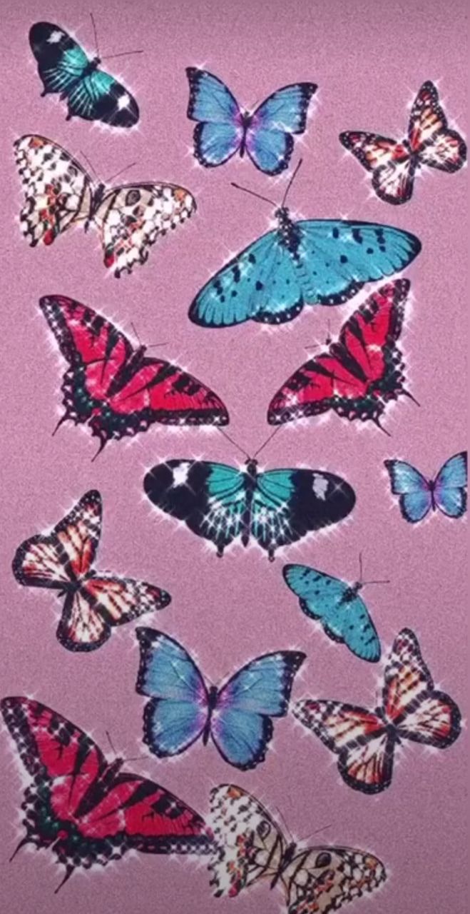 Aesthetic Butterflies Wallpaper .wallpaperaccess.com