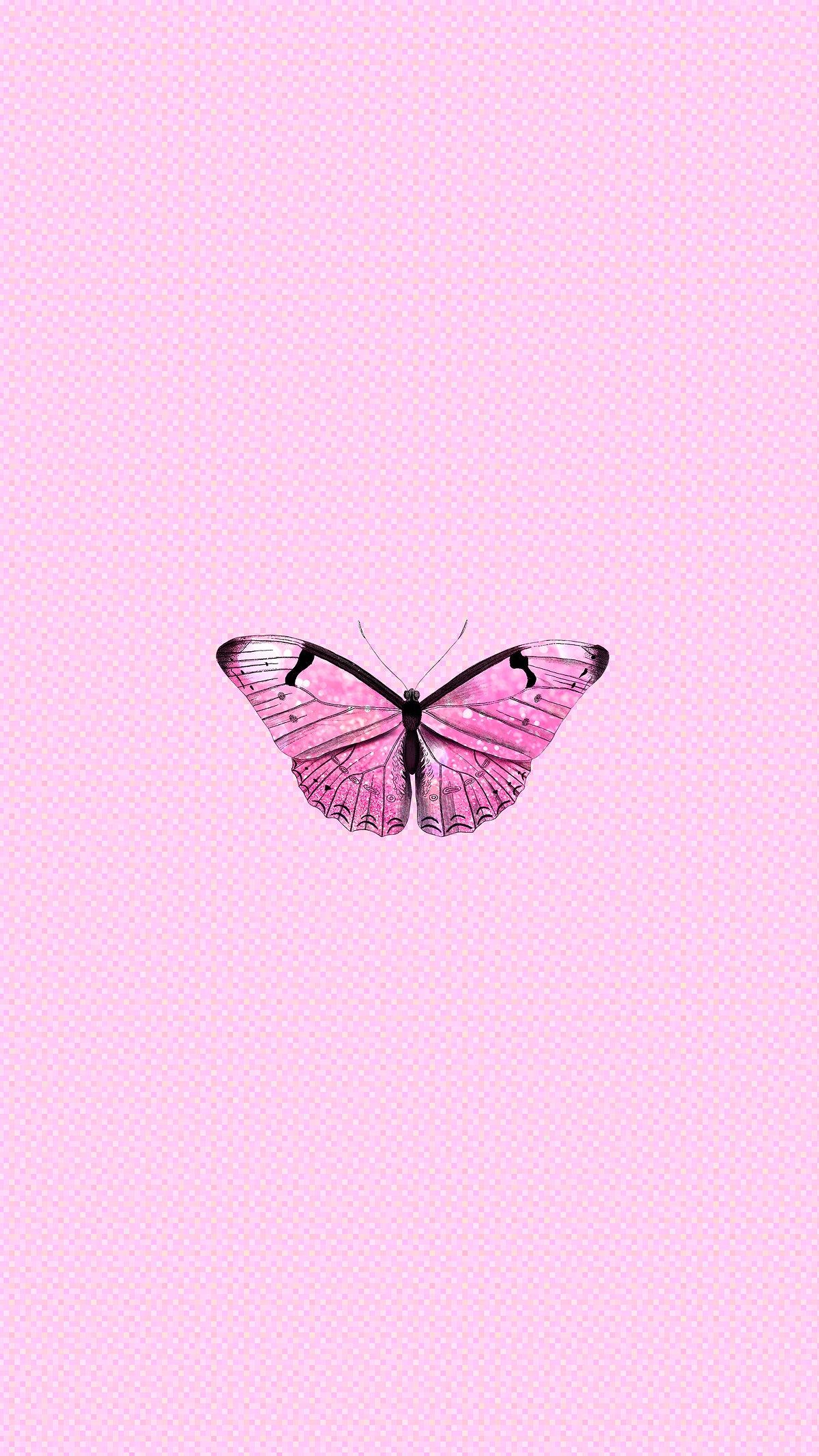 Pink Butterfly Aesthetic Wallpapers - Wallpaper Cave